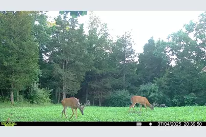 8275 Ky-10, Falmouth, KY 41040 - Photo 11