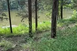 957 Bonar Rd, Falmouth, KY 41040 - Photo 27