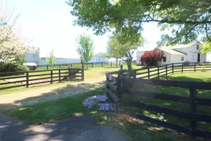 3869 Kentucky 435, Dover, KY 41034 - Photo 3