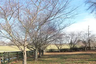 3869 Kentucky 435, Dover, KY 41034 - Photo 37
