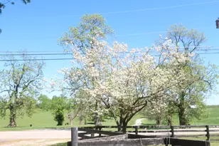 3869 Kentucky 435, Dover, KY 41034 - Photo 45