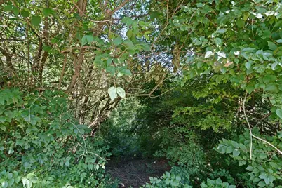 0 Kentucky Drive, Newport, KY 41071 - Photo 13