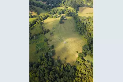 25 Acres Lenoxburg Road, Falmouth, KY 41040 - Photo 9