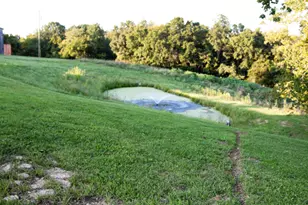 453 Chapel Rd, Mount Olivet, KY 41064 - Photo 39