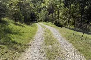 209 Muinn Rd, Butler, KY 41006 - Photo 13