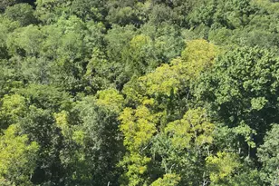 209 Muinn Rd, Butler, KY 41006 - Photo 35