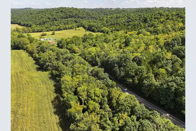 669 Wellsburg Walcott Road, Brooksville, KY 41004 - Photo 29