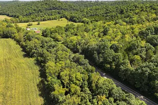 669 Wellsburg Walcott Rd, Brooksville, KY 41004 - Photo 29
