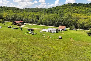 669 Wellsburg Walcott Rd, Brooksville, KY 41004 - Photo 1