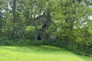 669 Wellsburg Walcott Rd, Brooksville, KY 41004 - Photo 15