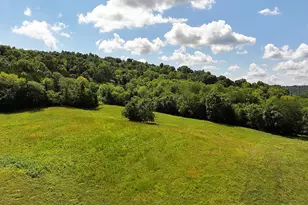 669 Wellsburg Walcott Rd, Brooksville, KY 41004 - Photo 37