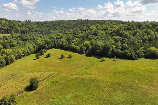 669 Wellsburg Walcott Rd, Brooksville, KY 41004 - Photo 33