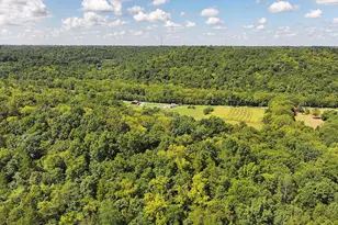 669 Wellsburg Walcott Rd, Brooksville, KY 41004 - Photo 31