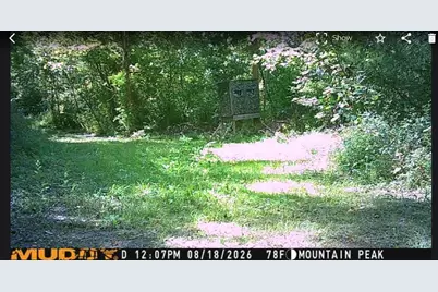 3145 Germantown Road, Maysville, KY 41056 - Photo 25