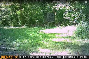 3145 Germantown Rd, Maysville, KY 41056 - Photo 25