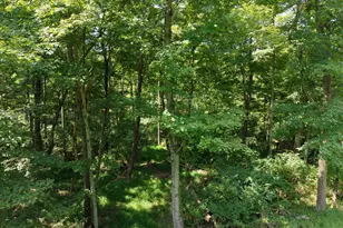5454 Botts Ln, Petersburg, KY 41080 - Photo 35