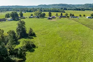301 Greens Bottom Rd, Carrollton, KY 41008 - Photo 43