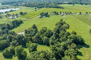 301 Greens Bottom Rd, Carrollton, KY 41008 - Photo 41