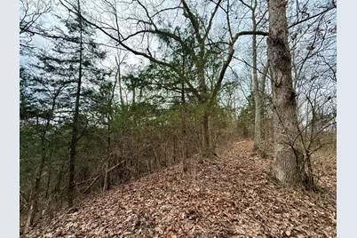 57 +/- Conley Road, Morningview, KY 41063 - Photo 35