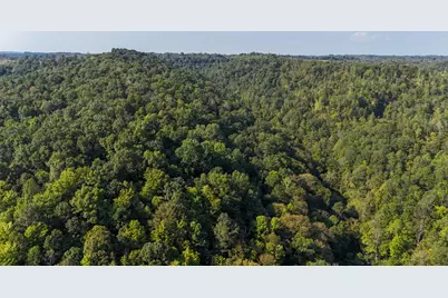 386 Upper Grassy Road, Grayson, KY 41143 - Photo 47
