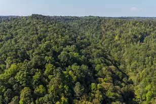 386 Upper Grassy Rd, Grayson, KY 41143 - Photo 47
