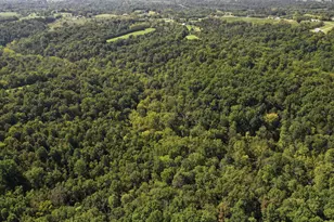 2470 Southfork Rd, Owenton, KY 40359 - Photo 21