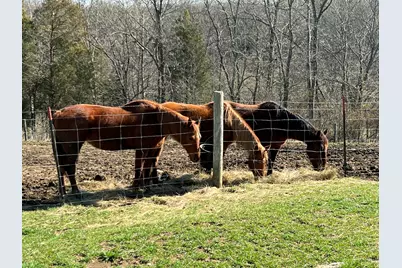 3140 Crooked Creek Road, Berry, KY 41003 - Photo 35
