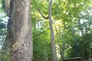 1225 Violet Rd, Crittenden, KY 41030 - Photo 27
