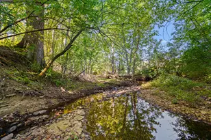 10460 Jasons Bluff, Florence, KY 41042 - Photo 43