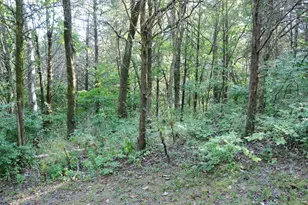 590 Agee Rd, Owenton, KY 40359 - Photo 5