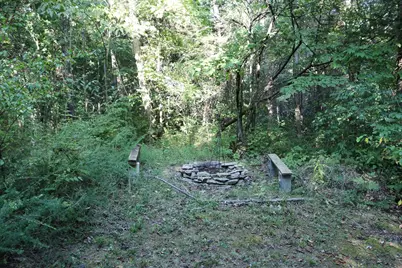 590 Agee Road, Owenton, KY 40359 - Photo 7