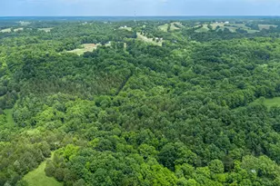 2795 Fords Mill Rd, Dry Ridge, KY 41035 - Photo 41