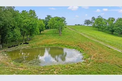 783B Rutland Road, Cynthiana, KY 41031 - Photo 5