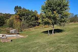 1610 Shady Ln, Crittenden, KY 41030 - Photo 33