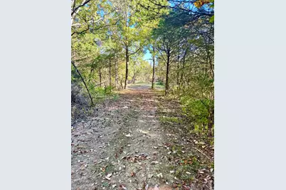 13.11 Acre Taft Hwy #Lot 1, Williamstown, KY 41097 - Photo 3