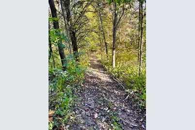 13.11 Acre Taft Hwy #Lot 1, Williamstown, KY 41097 - Photo 5