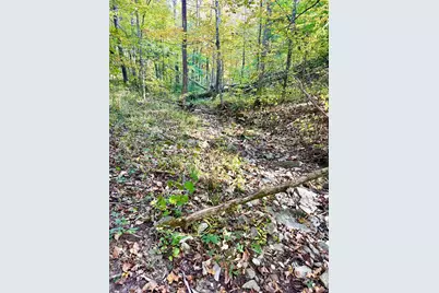 13.11 Acre Taft Hwy #Lot 1, Williamstown, KY 41097 - Photo 7