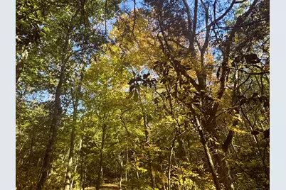 13.11 Acre Taft Hwy #Lot 1, Williamstown, KY 41097 - Photo 11
