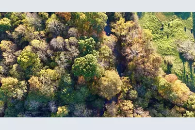 63 +/- Conley Road, Morningview, KY 41063 - Photo 15