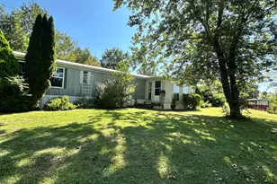 5441 Blue Licks Pike, Mount Olivet, KY 41064 - Photo 1