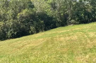 0 16 Hwy, Warsaw, KY 41095 - Photo 1