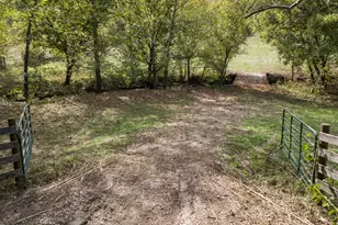 915 Heekin Clarks Creek Rd, Williamstown, KY 41097 - Photo 1