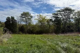 Lot 7 Ky Hwy 491, Demossville, KY 41033 - Photo 1