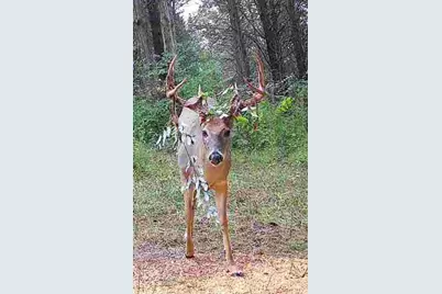 489 Kelly Road, Demossville, KY 41033 - Photo 1