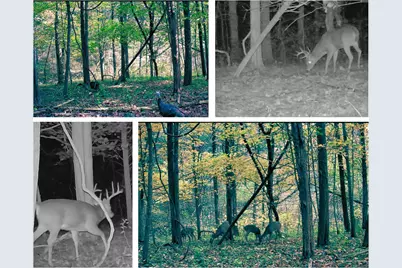 20.3 Lawrenceville Road, Williamstown, KY 41097 - Photo 1