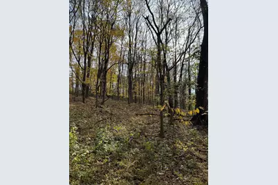 16.12D Ashby Fork Road, Petersburg, KY 41080 - Photo 1