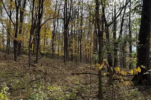 16 12D Ashby Fork Rd, Petersburg, KY 41080 - Photo 1