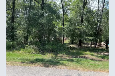 Tbd Belize Drive, Point Blank, TX 77364 - Photo 3