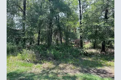 Tbd Belize Drive, Point Blank, TX 77364 - Photo 5