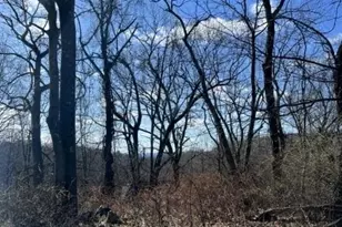 81 Boonton Ave, Montville Township, NJ 07005 - Photo 1